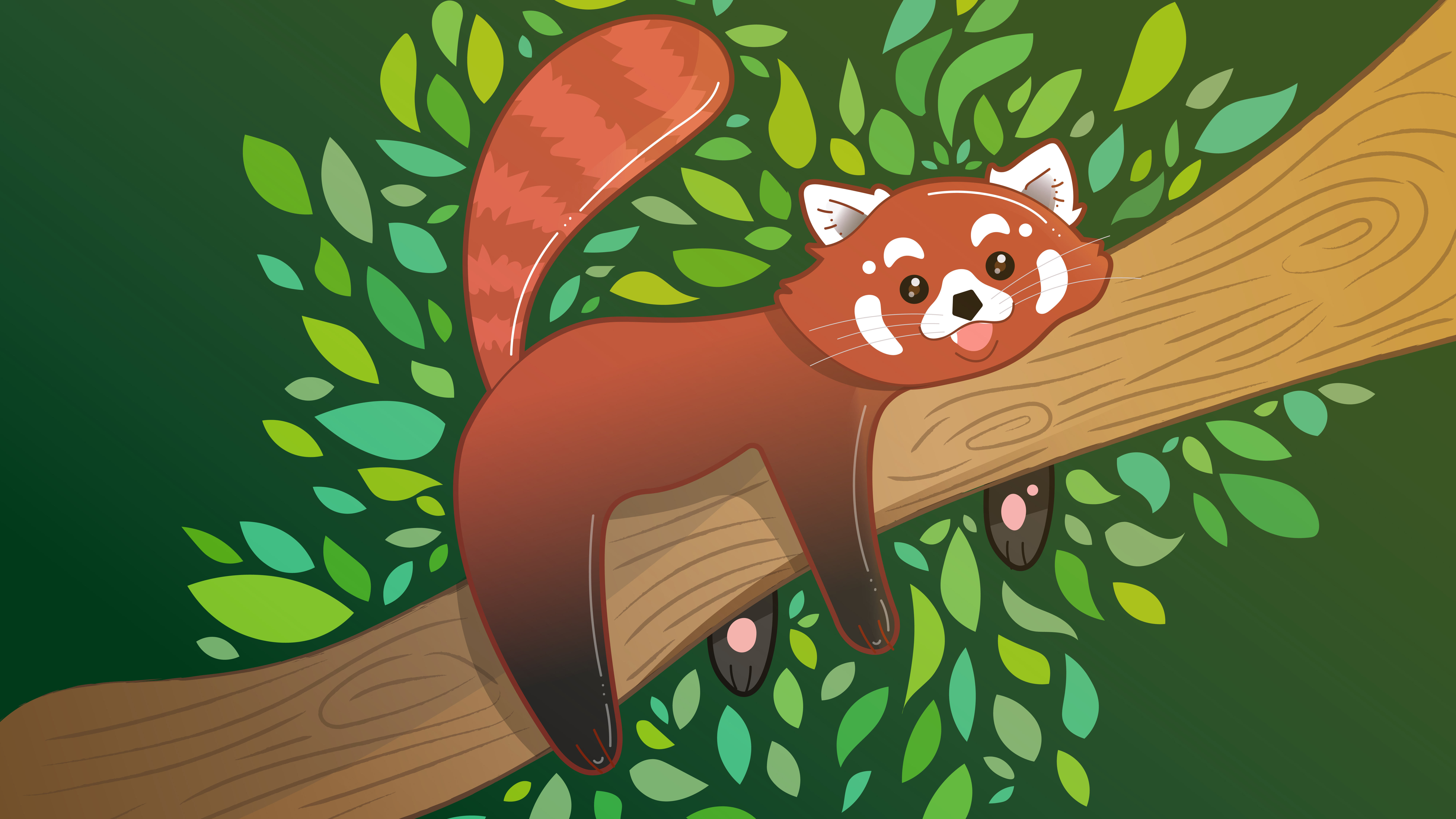 Panda-rojo
